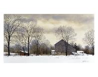 Silver Dollars-Ray Hendershot-Stretched Canvas