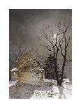 Silver Dollars-Ray Hendershot-Stretched Canvas