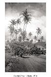 The Surf-Rider Hawaii, Girl with Surfboard, Photo Postcard c.1920-Ray Jerome Baker-Framed Art Print