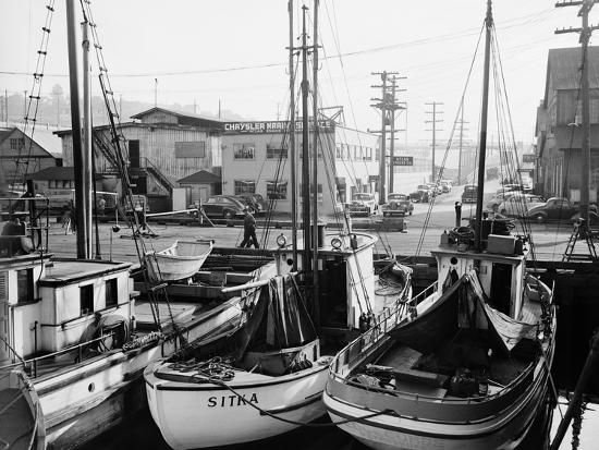 Photographic Print, , large