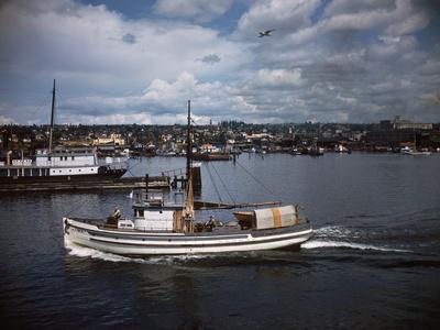 Halibut Fishing Vessel Alma in Salmon Bay