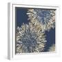 Ray of Burst I-Eva Watts-Framed Art Print