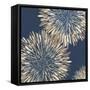 Ray of Burst I-Eva Watts-Framed Stretched Canvas