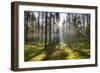 Ray of Light on a Path in Forest-Michal Mierzejewski-Framed Photographic Print