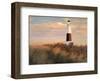 Ray of Light-Diane Romanello-Framed Art Print