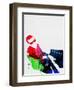 Ray Watercolor-Lora Feldman-Framed Art Print