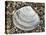 Rayed Trough Shell on Beach, Belgium-Philippe Clement-Stretched Canvas