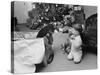 Raymond and Susie McFarland Looking at Their New Airedale Puppy Leaning Out of a Christmas Gift Box-Ralph Crane-Stretched Canvas