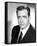 Raymond Burr - Perry Mason-null-Framed Stretched Canvas