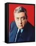 Raymond Burr-null-Framed Stretched Canvas