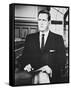 Raymond Burr-null-Framed Stretched Canvas