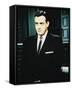 Raymond Burr-null-Framed Stretched Canvas