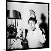 Raymond Devos with Two Parrots in Colmar, August 3968-Marcel Begoin-Mounted Photographic Print