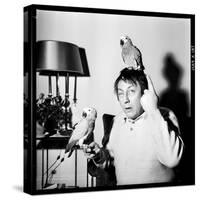 Raymond Devos with Two Parrots in Colmar, August 3968-Marcel Begoin-Stretched Canvas