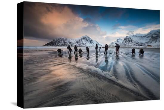 Stretched Canvas Print, , large