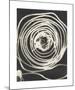 Rayograph, 1926-Man Ray-Mounted Premium Giclee Print