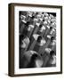 Rayon Yarn on Spools at the Industrial Rayon Corp. Factory-Margaret Bourke-White-Framed Photographic Print