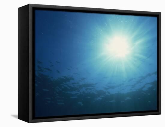 Rays of Sunlight Through the Surface from Underwater, on Similan Island, Thailand, Southeast Asia-Murray Louise-Framed Stretched Canvas