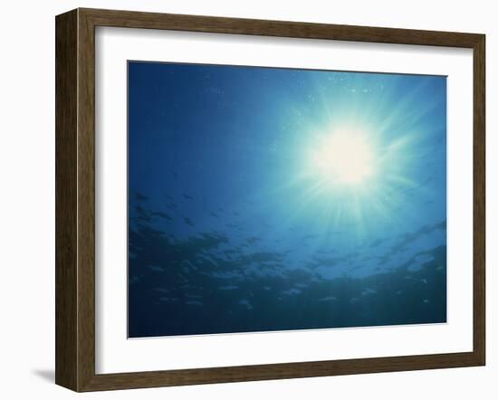 Rays of Sunlight Through the Surface from Underwater, on Similan Island, Thailand, Southeast Asia-Murray Louise-Framed Photographic Print
