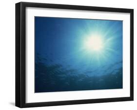 Rays of Sunlight Through the Surface from Underwater, on Similan Island, Thailand, Southeast Asia-Murray Louise-Framed Photographic Print