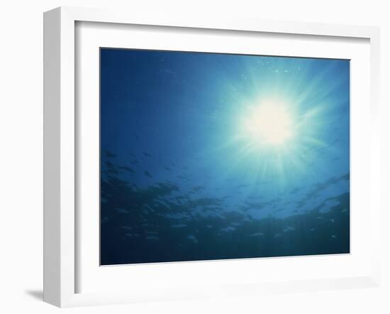 Rays of Sunlight Through the Surface from Underwater, on Similan Island, Thailand, Southeast Asia-Murray Louise-Framed Photographic Print