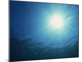 Rays of Sunlight Through the Surface from Underwater, on Similan Island, Thailand, Southeast Asia-Murray Louise-Mounted Photographic Print