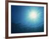 Rays of Sunlight Through the Surface from Underwater, on Similan Island, Thailand, Southeast Asia-Murray Louise-Framed Photographic Print