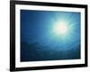 Rays of Sunlight Through the Surface from Underwater, on Similan Island, Thailand, Southeast Asia-Murray Louise-Framed Photographic Print