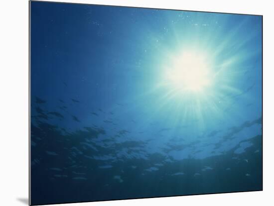 Rays of Sunlight Through the Surface from Underwater, on Similan Island, Thailand, Southeast Asia-Murray Louise-Mounted Photographic Print