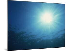 Rays of Sunlight Through the Surface from Underwater, on Similan Island, Thailand, Southeast Asia-Murray Louise-Mounted Photographic Print