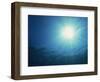 Rays of Sunlight Through the Surface from Underwater, on Similan Island, Thailand, Southeast Asia-Murray Louise-Framed Photographic Print