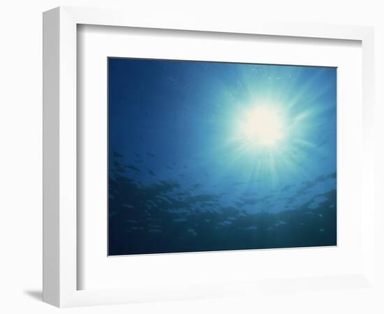 Rays of Sunlight Through the Surface from Underwater, on Similan Island, Thailand, Southeast Asia-Murray Louise-Framed Photographic Print