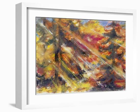 Rays of Sunshing in the Autumn Forest, 1996-Sybille Fischer-Bradford-Framed Giclee Print