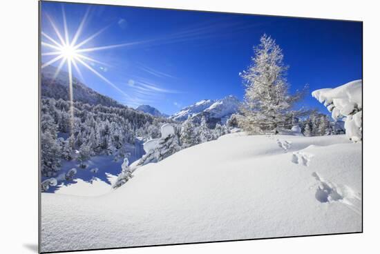 Rays of winter sun illuminate the snowy landscape around Maloja Canton of Engadine Switzerland Euro-ClickAlps-Mounted Photographic Print