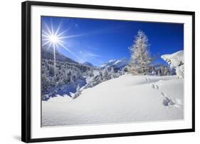 Rays of winter sun illuminate the snowy landscape around Maloja Canton of Engadine Switzerland Euro-ClickAlps-Framed Photographic Print
