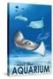 Rays - Visit the Aquarium-Lantern Press-Stretched Canvas