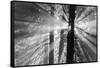 Rays-Tim Oldford-Framed Stretched Canvas