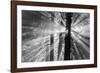 Rays-Tim Oldford-Framed Photographic Print