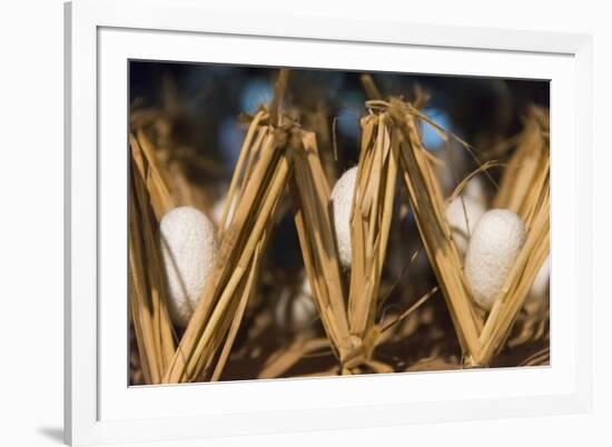 Razing silkworms, Gassho-zukuri house, Ainokura Village, Gokayama, Japan-Keren Su-Framed Premium Photographic Print