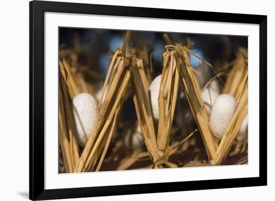 Razing silkworms, Gassho-zukuri house, Ainokura Village, Gokayama, Japan-Keren Su-Framed Premium Photographic Print