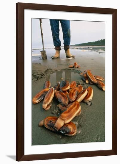 Razor Clams Dug Up on a Beach-David Nunuk-Framed Photographic Print