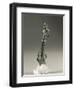 Razor Handle, from Simris-null-Framed Giclee Print