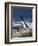 Razorbill-CM Dixon-Framed Photographic Print