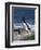 Razorbill-CM Dixon-Framed Photographic Print