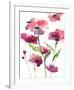 Razzleberry Blossoms-Rebecca Meyers-Framed Giclee Print