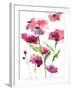 Razzleberry Blossoms-Rebecca Meyers-Framed Art Print