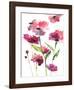 Razzleberry Blossoms-Rebecca Meyers-Framed Giclee Print