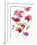 Razzleberry Blossoms-Rebecca Meyers-Framed Giclee Print