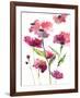 Razzleberry Blossoms-Rebecca Meyers-Framed Giclee Print