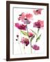 Razzleberry Blossoms-Rebecca Meyers-Framed Giclee Print